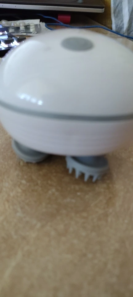 תמונה שצירף הקונה